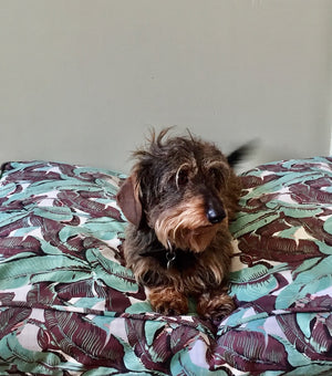 Jungle Leaf Dog Bed